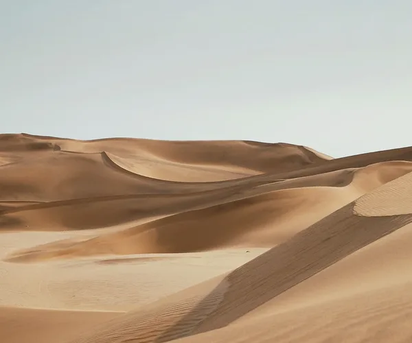 Desert medicaux Psad 00