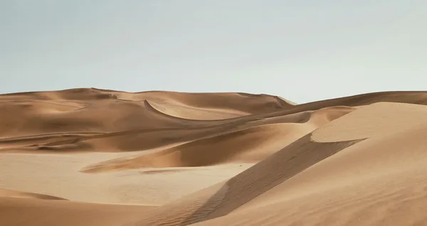 Desert medicaux Psad 00